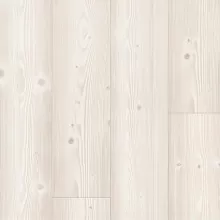 СОСТАРЕННАЯ БЕЛАЯ СОСНА